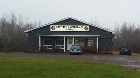 Dairytown Veterinary